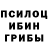 Галлюциногенные грибы прущие грибы Kat Glat